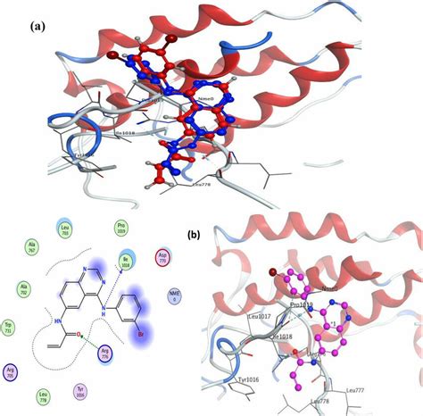 A Superimposition D Of The Co Crystallized Red And The Docking