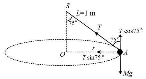 A Stone Of Mass 1 3 Kg Is Being Rotated In A Horizontal Plane As A