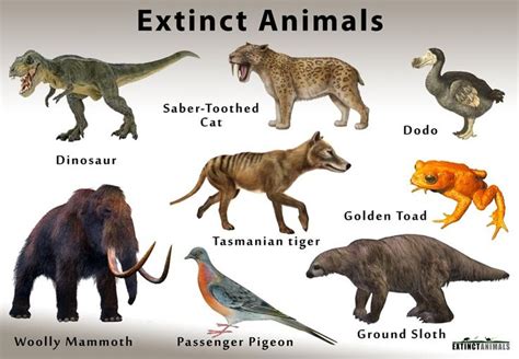 ExtinctAnimals.org | Lists of Extinct Species With Facts and Pictures ...