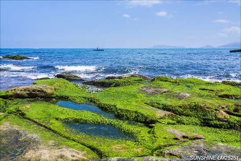 Lm25251金山神秘海岸水尾港神秘海岸秘境潮間帶海藻青苔北海岸北海岸及觀音山國家風景區新北市金山區 A Photo