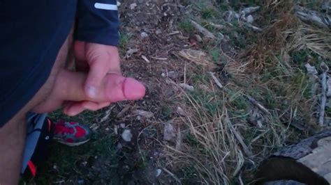 Im Wald Gewixt In The Woods Gay Man Porn XHamster