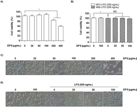 Evaluation Of Antioxidant And Antiinflammatory Activity Of Ethanolic