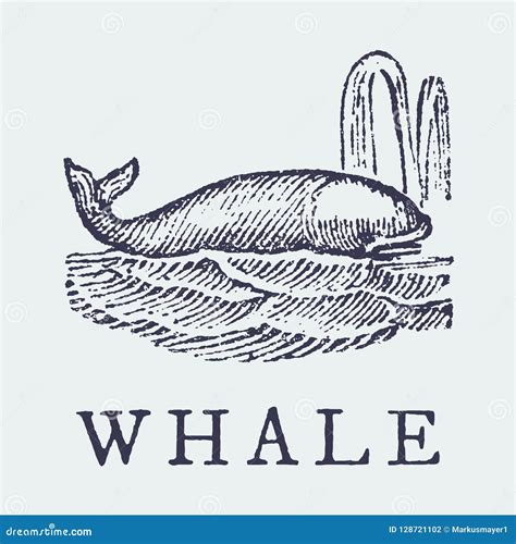 The Whale. Illustration after a Vintage Woodcut Engraving Editorial Photography - Illustration ...