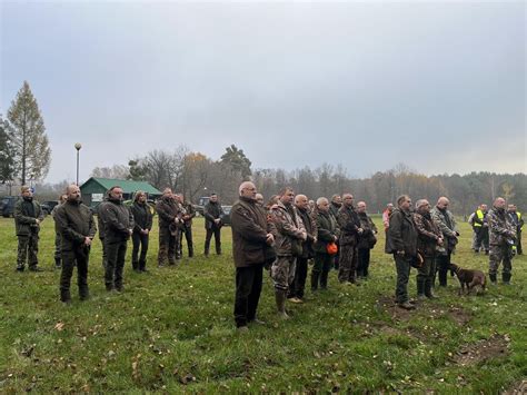 Dzik Przemy L Listopada Polowanie Hubertowskie Ry Lubacz W