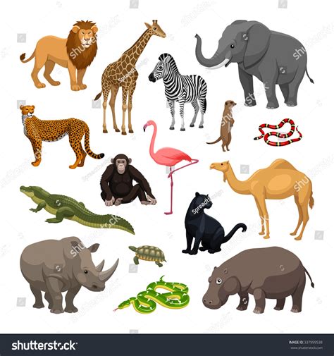 Animales Terrestres