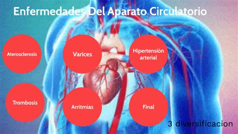 Enfermedades Aparato Circulatorio By Jos Ra L El Crack On Prezi