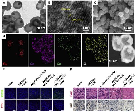 Frontiers Biomimetic Nanomaterial Facilitated Oxygen Generation Strategies For Enhancing