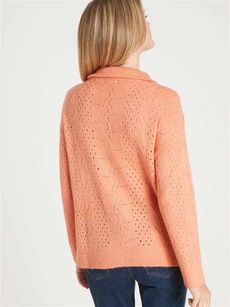 Pull col montant zippé Daxon Femme Daxon