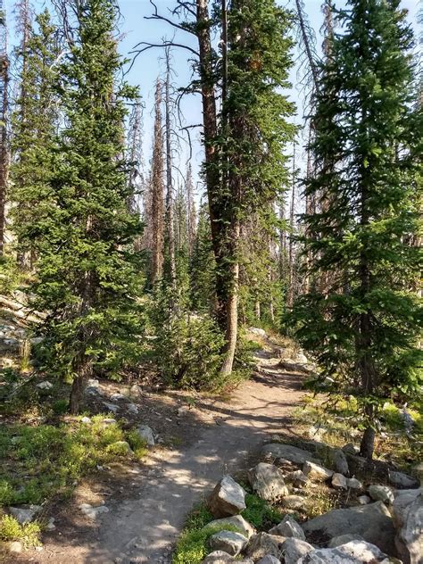 The Typical Uinta Trail Bonnie Lake Western Uintas Road Trip Ryan