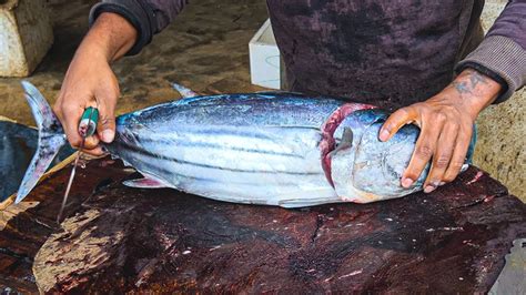 Tuna Fish Cutting Skipjack Tuna Amazing Skills Asian Sea Life