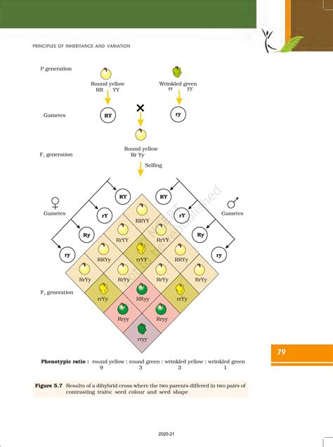 Principles Of Inheritance And Variation NCERT Book Of Class 12 Biology