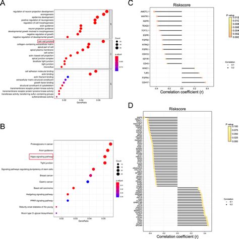 Pathway Analysis In High And Low Risk Groups A Go Analysis Of Degs