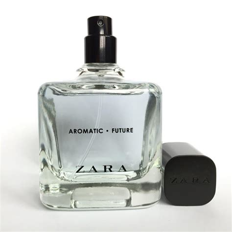 Introduce Imagen Zara Aromatic Future Fr Thptnganamst Edu Vn