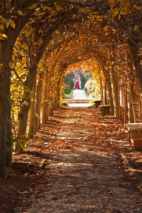 Fall At Colonial Williamsburg