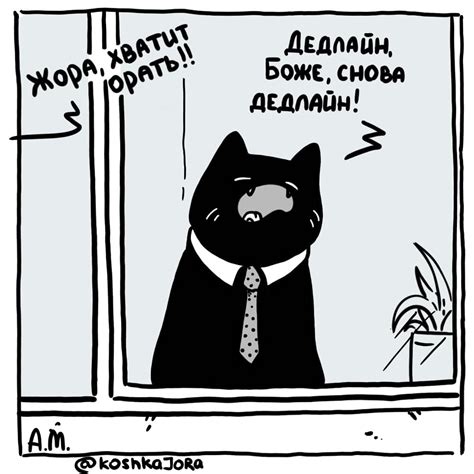 Работа котиком | Пикабу