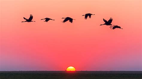 Bird watching in Chitwan - Nepal Challenge Treks