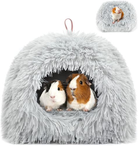 Suzile 2 Pcs Guinea Pig Hideout 11 X 115 X 9 Guinea