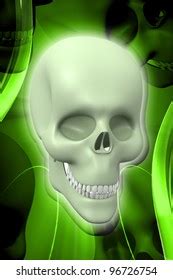 Digital Illustration Human Skull Color Background Stock Illustration