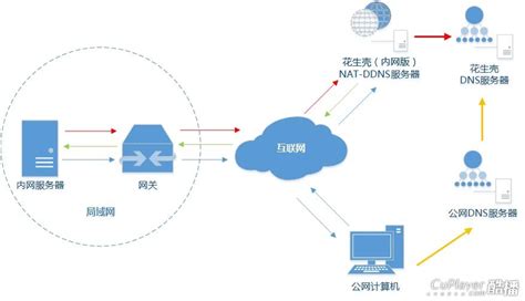 [解析]花生壳域名解析原理（拓扑图示意） 酷播官方网站