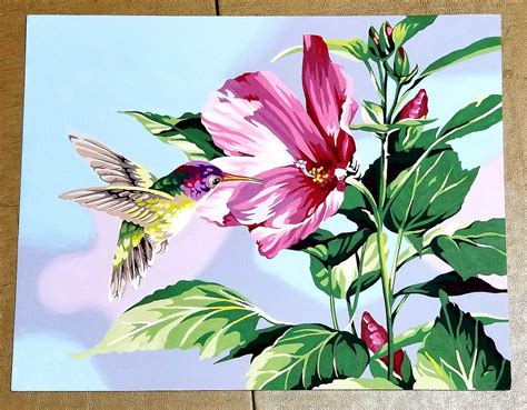 Gallery Pictures Dimensions Hibiscus Hummingbird Paint By Number Kit