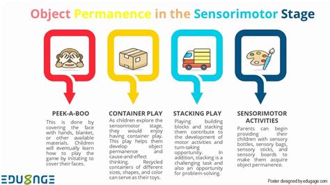 What Is The Sensorimotor Stage Of Development Edugage