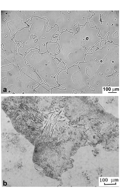 Optical Micrographs Showing The Microstructures Of Alloy Az91 In The Download Scientific