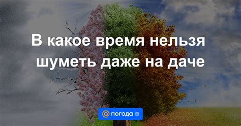 В какое время нельзя шуметь даже на даче - Погода Mail