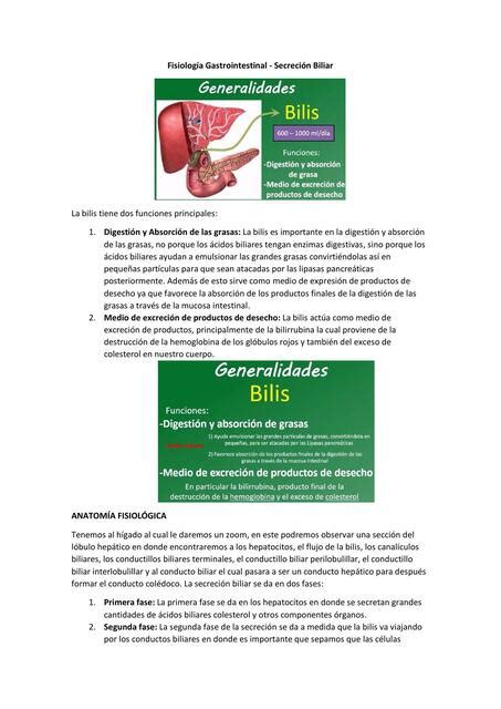 Fisiología Gastrointestinal Secreción Biliar G m S t uDocz