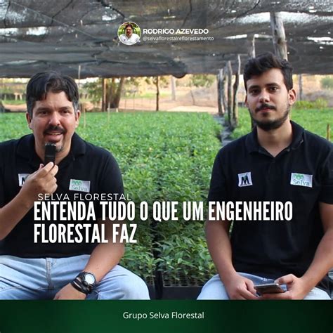 O que faz um engenheiro florestal e qual sua importância