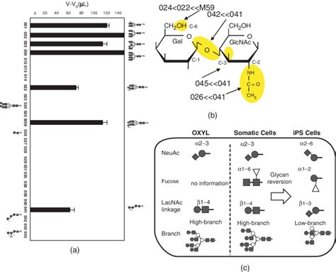 5 Glycan Binding Profile Of A Novel 14 Kda Feather Star Lectin A