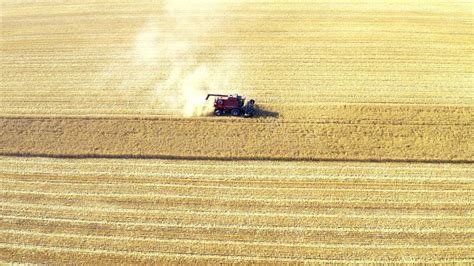 Tractor, Harvest and Aerial in Outdoors, Crops and Agricultural ...