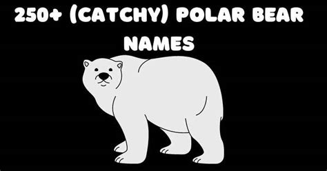 450+ North Pole Pals: Choose Memorable Polar Bear Names Now!