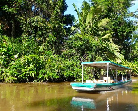 Parc Naturel De Tortuguero Biche On The Road