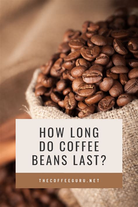 How Long Do Coffee Beans Last A Comprehensive Guide To Maximum Shelf