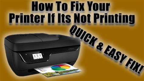 How To Fix Your Printer If Its Not Printing QUICK AND EASY FIX YouTube