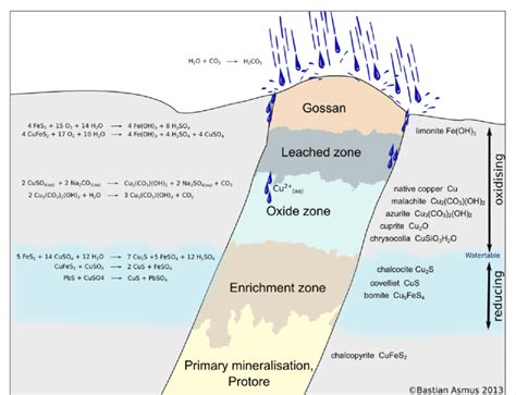 Schematic view of a sulfide vein... | Download Scientific Diagram