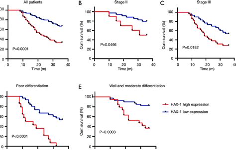 Kaplan Meier Survival Curves For Patients With Gastric Cancer A Download Scientific Diagram