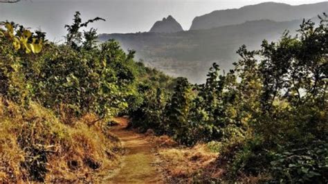 Kalavantin Durg Trek – A trek not for the faint hearted (INR300)