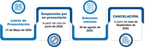 RAOCE Reporte Anual De Operaciones De Comercio Exterior 2024 IMMEX Y