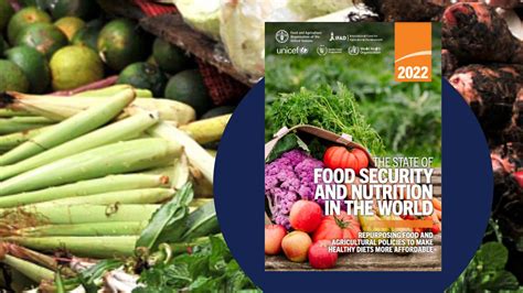 The State Of Food Security And Nutrition In The World Sofi 2022