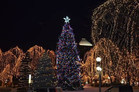 Rice Park Christmas Lights, Christmas Tree, Rice, Park, Holiday Decor ...