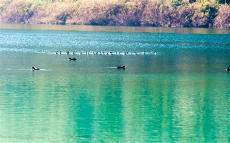 Crete Lake Kournas Argyroupolis And Georgioupolis Trip