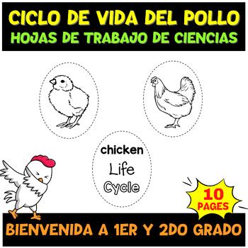 Ciclo de vida del pollo Science Unite Hojas de trabajo científicas