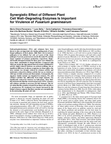 Pdf Synergistic Effect Of Different Plant Cell Wall Degrading Enzymes