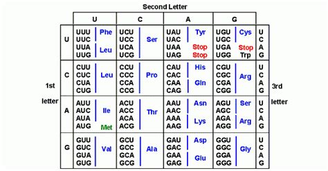 Codons & Genetic code - www.medicoapps.org