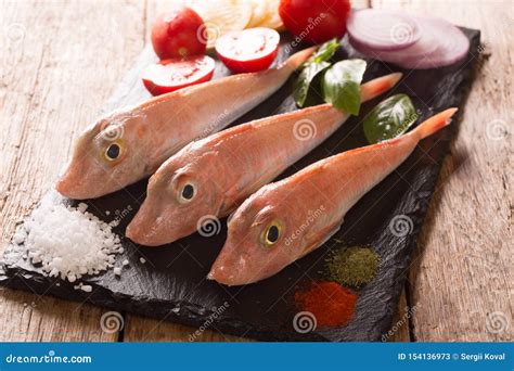 Dietary Raw Triglidae Sea Robins Or Gurnard Fish With Fresh