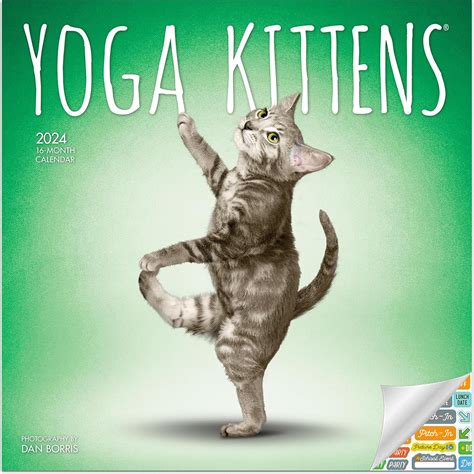 Calendario De Yoga Gatitos Paquete De Calendario De Pared De