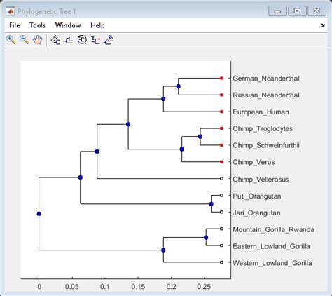 Building a Phylogenetic Tree for the Hominidae Species - MATLAB & Simulink