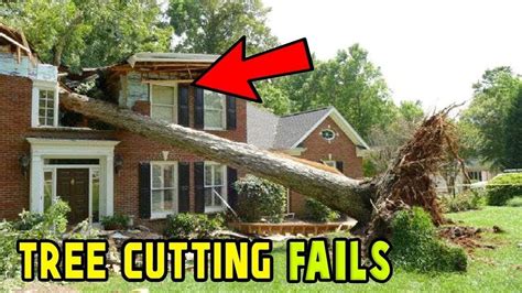 Extreme Dangerous Tree Fails Compilation 2019 Tree Falling In House