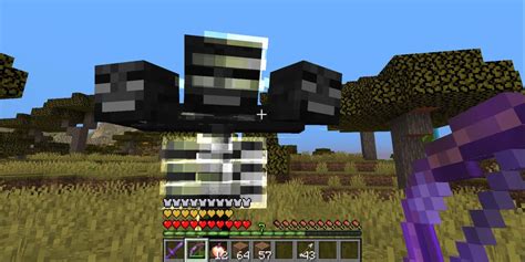 Minecraft Tips To Defeat The Wither